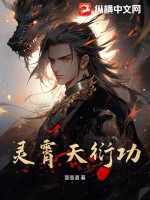 灵霄天衍功