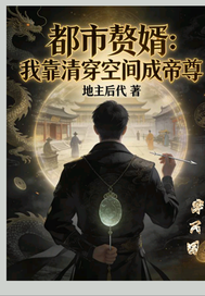 都市赘婿靠清穿空间成帝尊